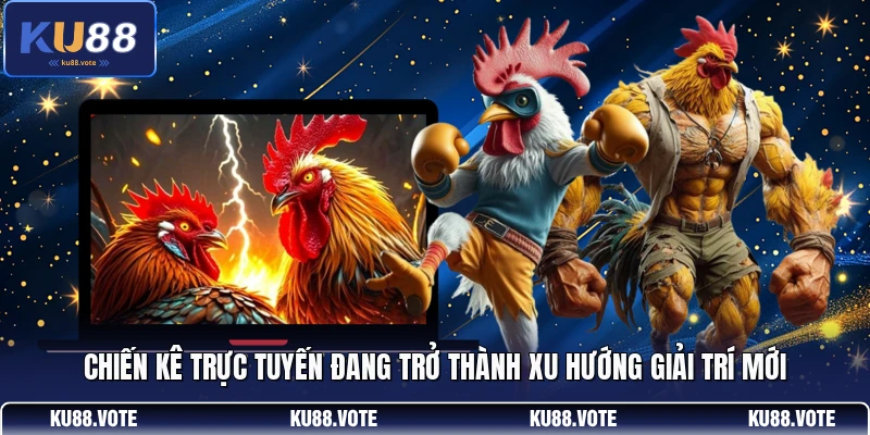 Chiến kê trực tuyến đang trở thành xu hướng giải trí mới 