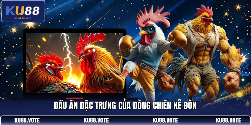 Dấu ấn đặc trưng của dòng chiến kê đòn